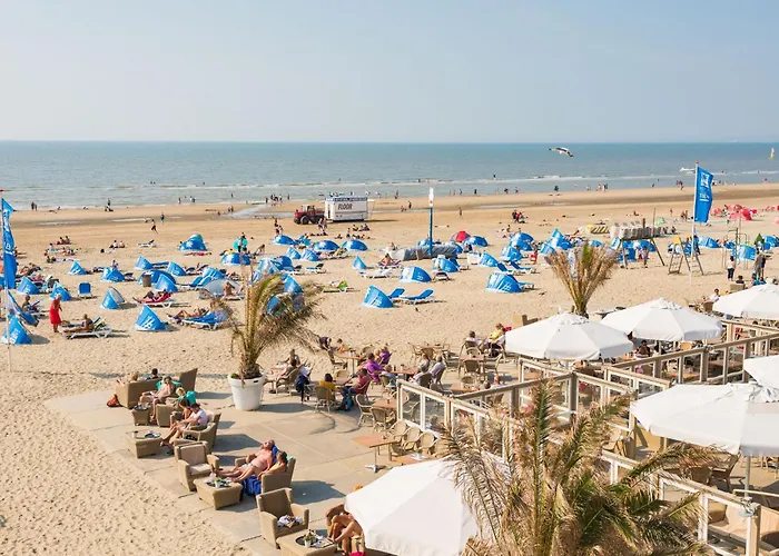 Albatros Aan Zee - Apartment